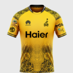 Peshawar Zalmi PSL Shirt 2024