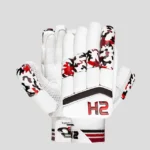 HS 5 Star Batting Gloves Sales in Pakistan