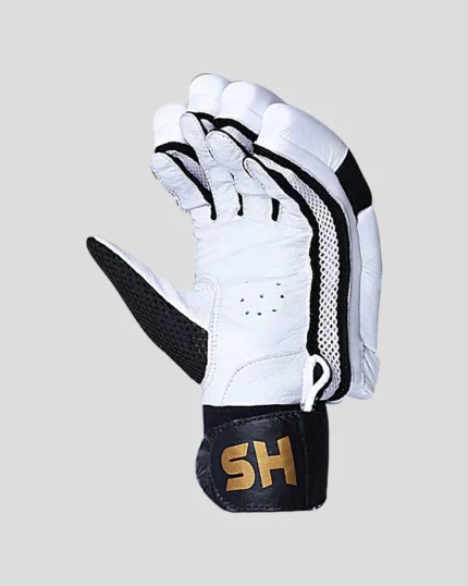 HS T20 Batting Gloves