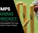 Stumps Meaning in Cricket Stumps Meaning in Test Cricket