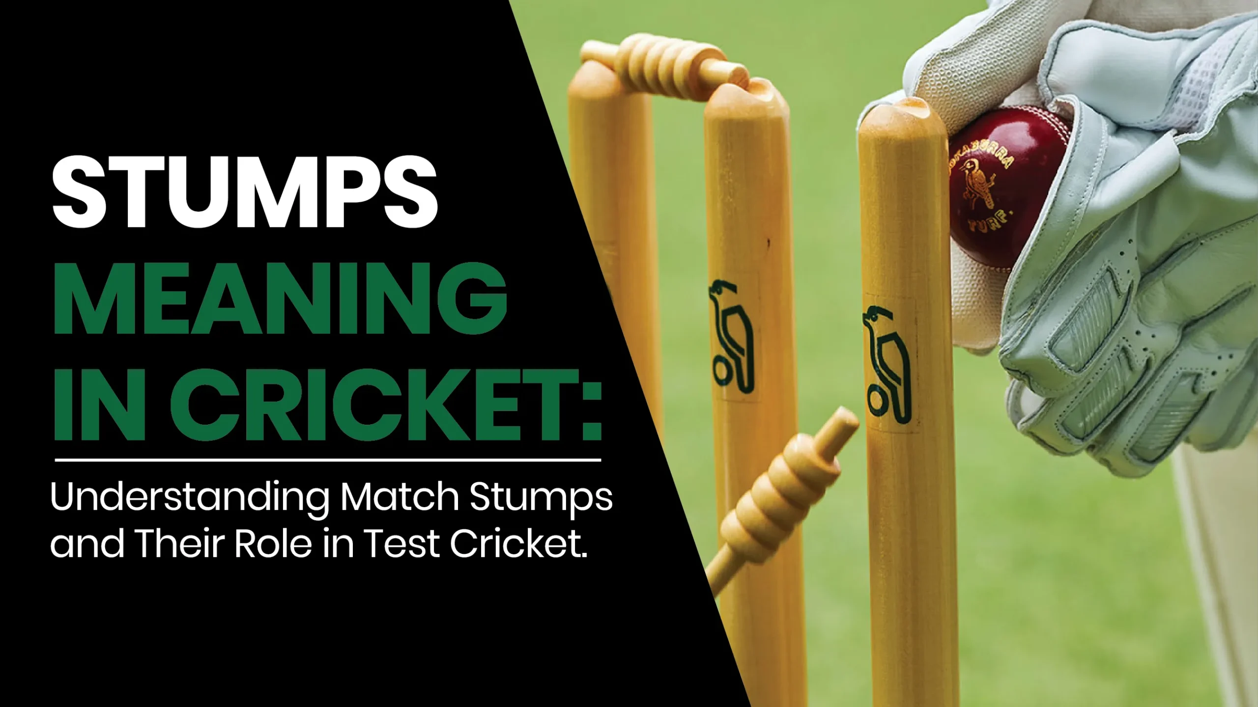 Stumps Meaning in Cricket